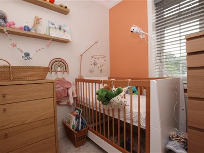 Picture 12